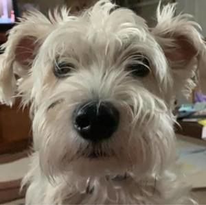 Meet your Posher, Mary jo